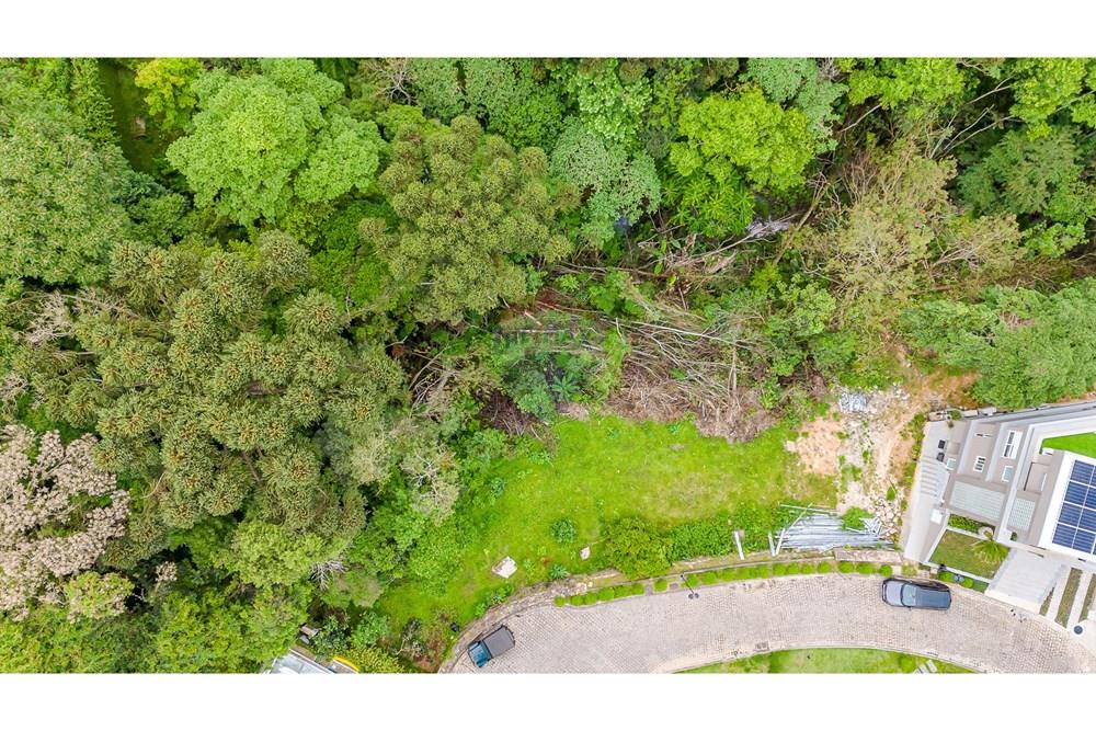 Terreno - Venda - Curitiba , Paraná - DJI_20251106095940_0003_D.jpg - 560321058-109