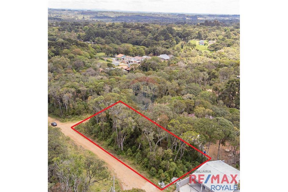 Terreno - Venda - São José dos Pinhais , Paraná - 12 - 560251029-43