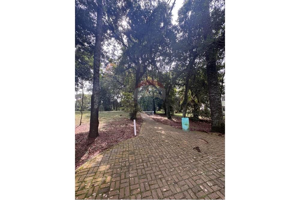 Apartamento - Venda - São José dos Pinhais , Paraná - WhatsApp Image 2025-05-03 at 16.13.50 (3).jpeg - 560251088-6