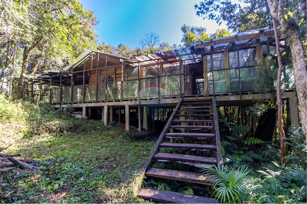 Chácara / Sítio / Fazenda - Venda - Piraquara , Paraná - IMG_3642.jpg - 560431012-39