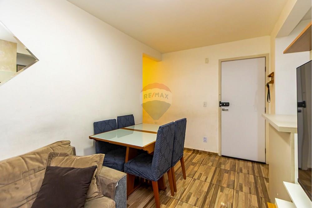 Apartamento - Venda - São José dos Pinhais , Paraná - Fotografia Sheep House - IMG_0213_1.jpg - 560481004-31