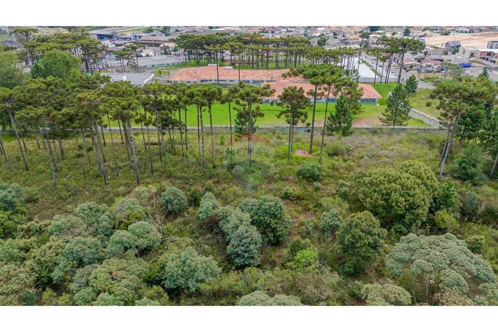 Terreno - Venda - São José dos Pinhais , Paraná - DJI_20250227132816_0562_D.jpg - 560351069-35