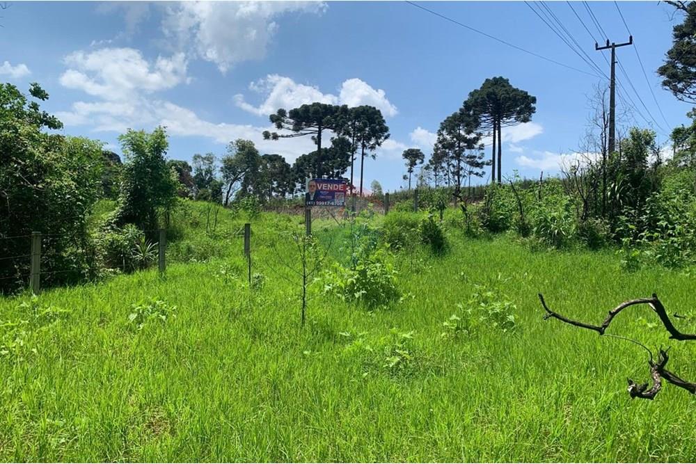 Terreno - Venda - Almirante Tamandaré , Paraná - 08.jpeg - 560461019-14