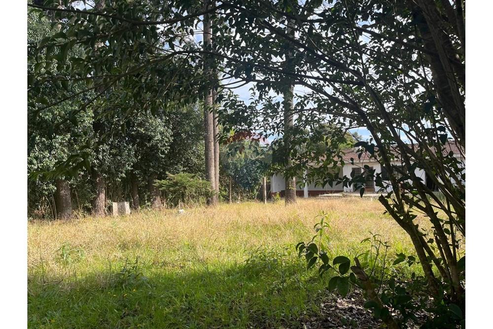 Terreno - Venda - Colombo , Paraná - IMG-20250717-WA0072.jpg - 560411036-8