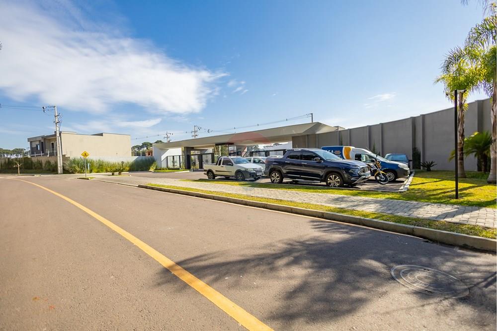 Terreno - Venda - São José dos Pinhais , Paraná - IMG_0004.jpg - 560351163-5