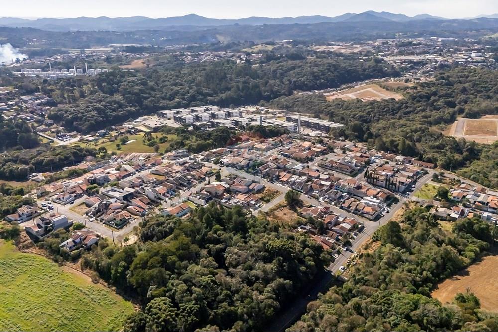 Terreno - Venda - Campo Largo , Paraná - DJI_20250801142535_0037_D_1.jpg - 560471005-5