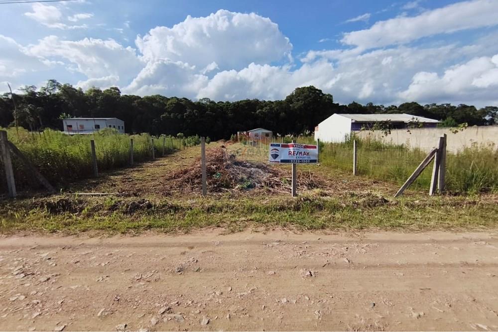 Terreno - Venda - São José dos Pinhais , Paraná - WhatsApp Image 2026-02-10 at 11.30.17.jpeg - 560391096-12