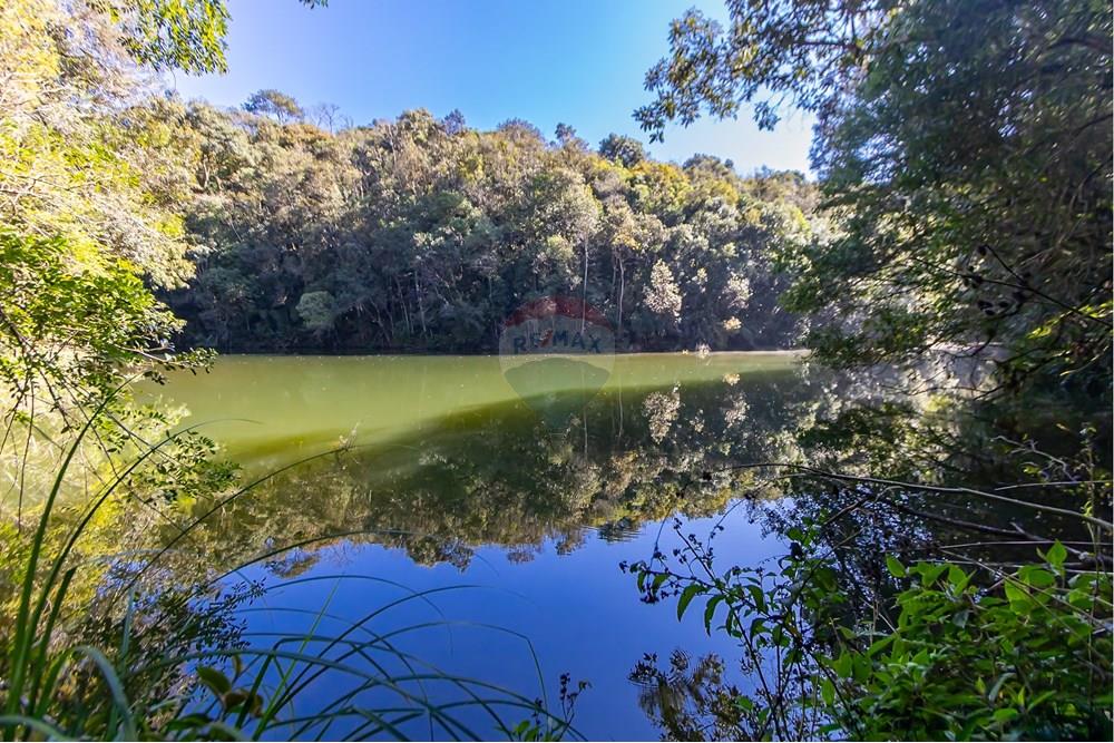 Chácara / Sítio / Fazenda - Venda - Piraquara , Paraná - IMG_3630.jpg - 560431012-39