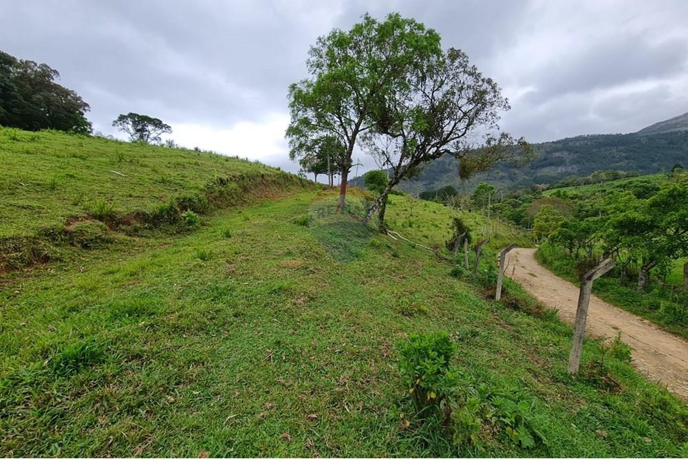 Chácara / Sítio / Fazenda - Venda - Tijucas do Sul , Paraná - 7c571dc6-24b4-4a29-bcf1-6c6f732b7c44.jpeg - 560391051-16
