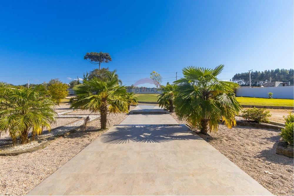 Chácara / Sítio / Fazenda - Venda - Campina Grande do Sul , Paraná - IMG_4228.jpg - 560411009-91