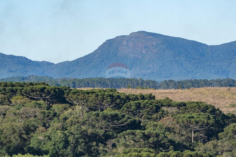 Terreno - Venda - Pinhais , Paraná - 0021- Vista do Morro Pão ed Loh a partir do tereno - Zig Koch.jpg - 560511007-5