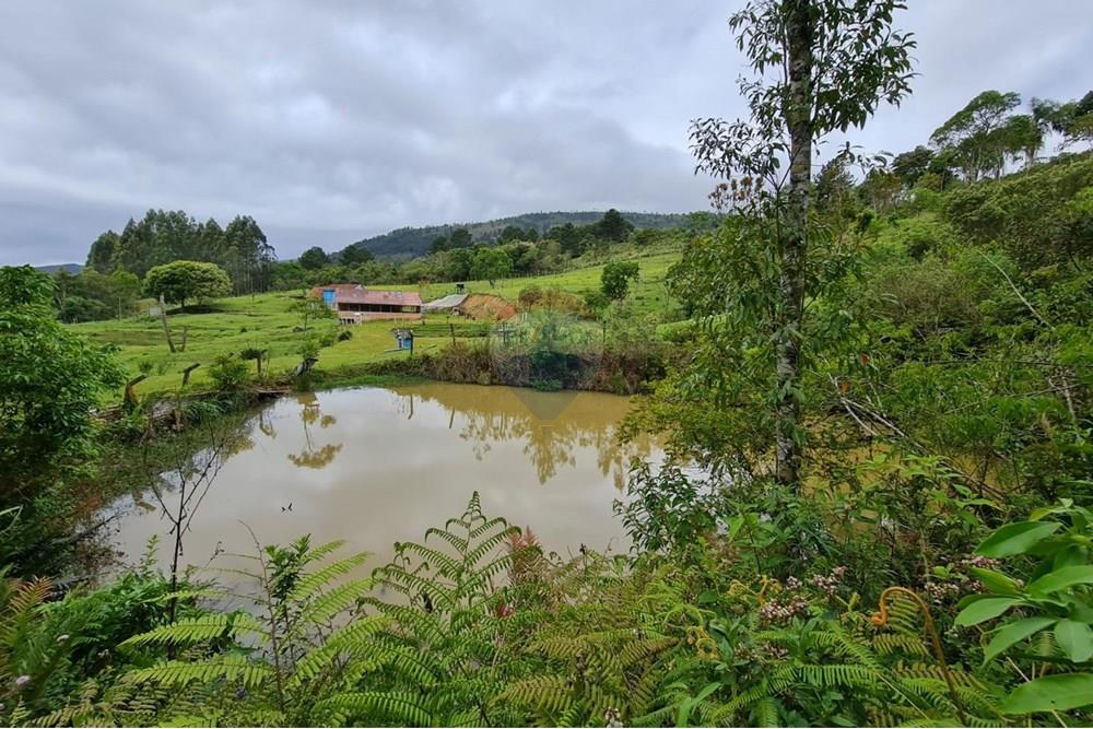 Chácara / Sítio / Fazenda - Venda - Tijucas do Sul , Paraná - 4dacd8b0-3883-4e91-b684-59af7b77aefa.jpeg - 560391051-16