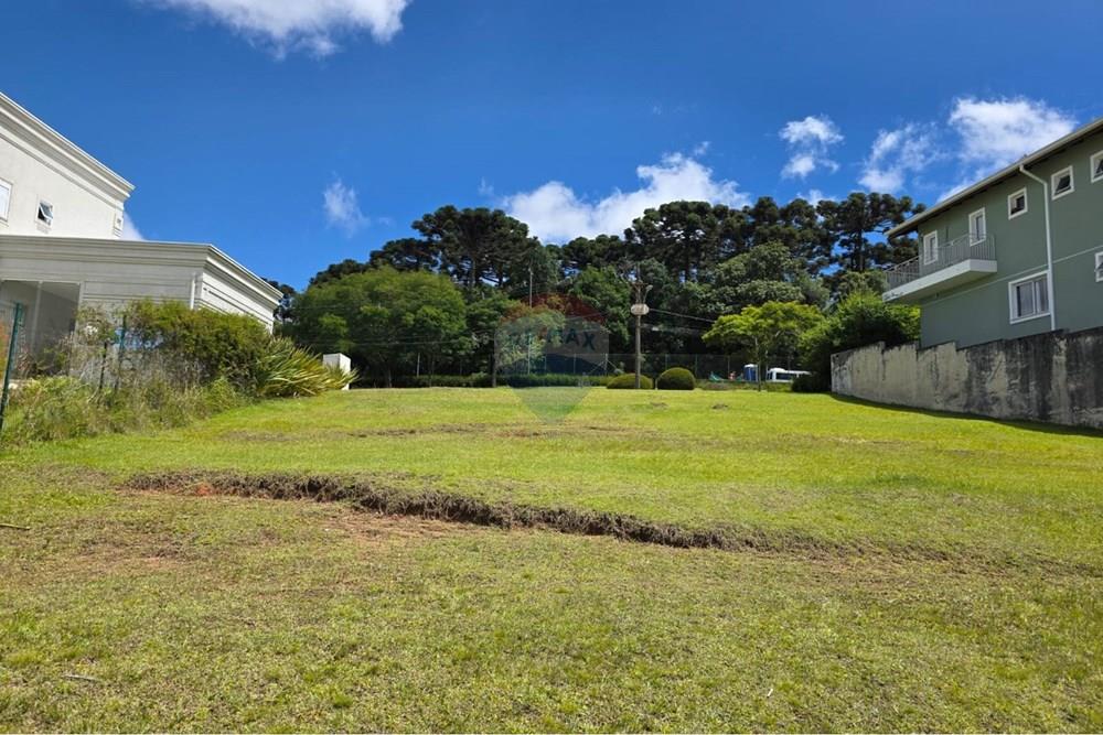 Terreno - Venda - Pinhais , Paraná - WhatsApp Image 2026-01-29 at 09.04.41 (2).jpeg - 560501018-2