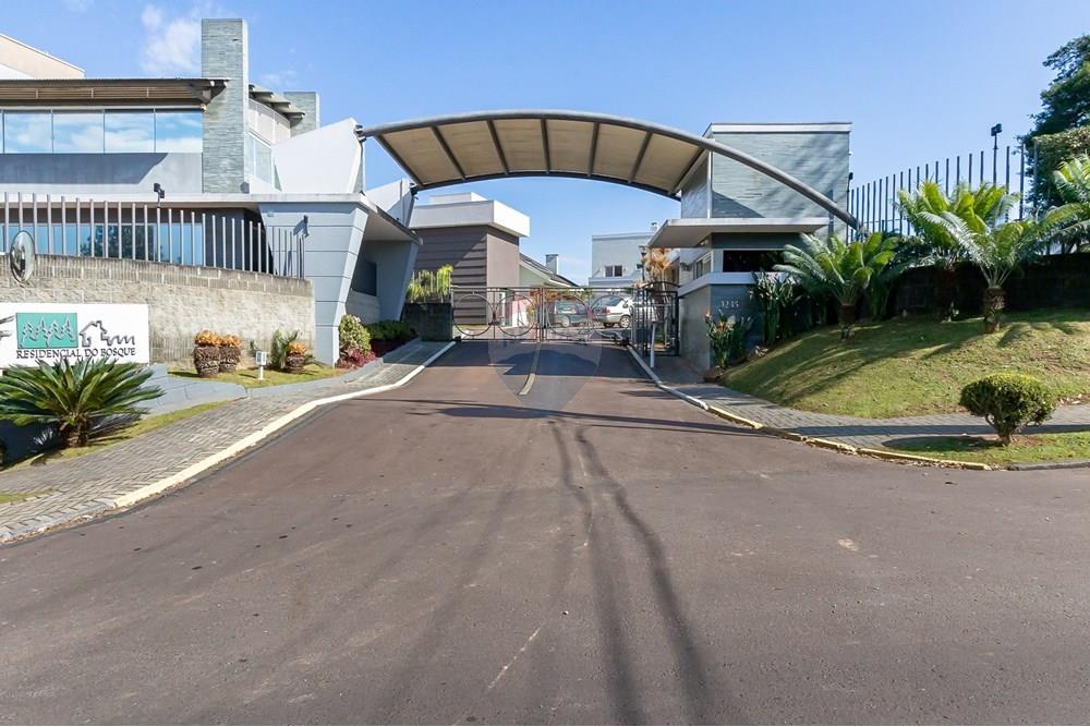 Terreno - Venda - Curitiba , Paraná - IMG_3651.jpg - 560411061-7