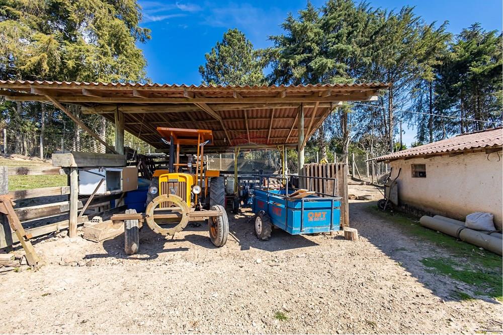 Chácara / Sítio / Fazenda - Venda - Campo Largo , Paraná - F (27).jpg - 560351150-1