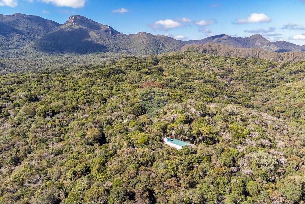 Chácara / Sítio / Fazenda - Venda - Piraquara , Paraná - DJI_0506_1.jpg - 560431012-39