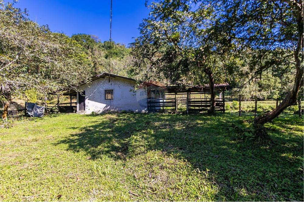 Chácara / Sítio / Fazenda - Venda - Antonina , Paraná - IMG_4820.jpg - 560411008-83