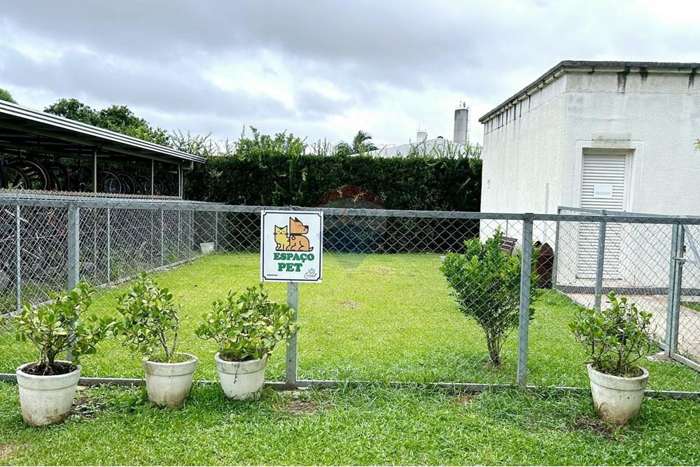 Apartamento - Alugar - São José dos Pinhais , Paraná - IMG_8952.JPG - 560411032-67