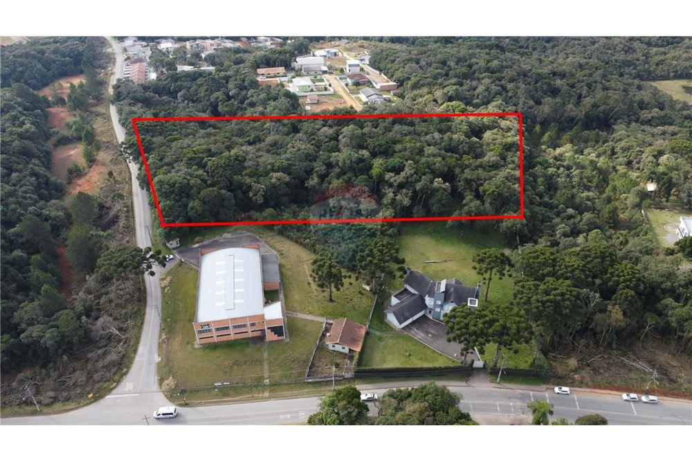 Terreno - Venda - São José dos Pinhais , Paraná - 1 - 560341114-47