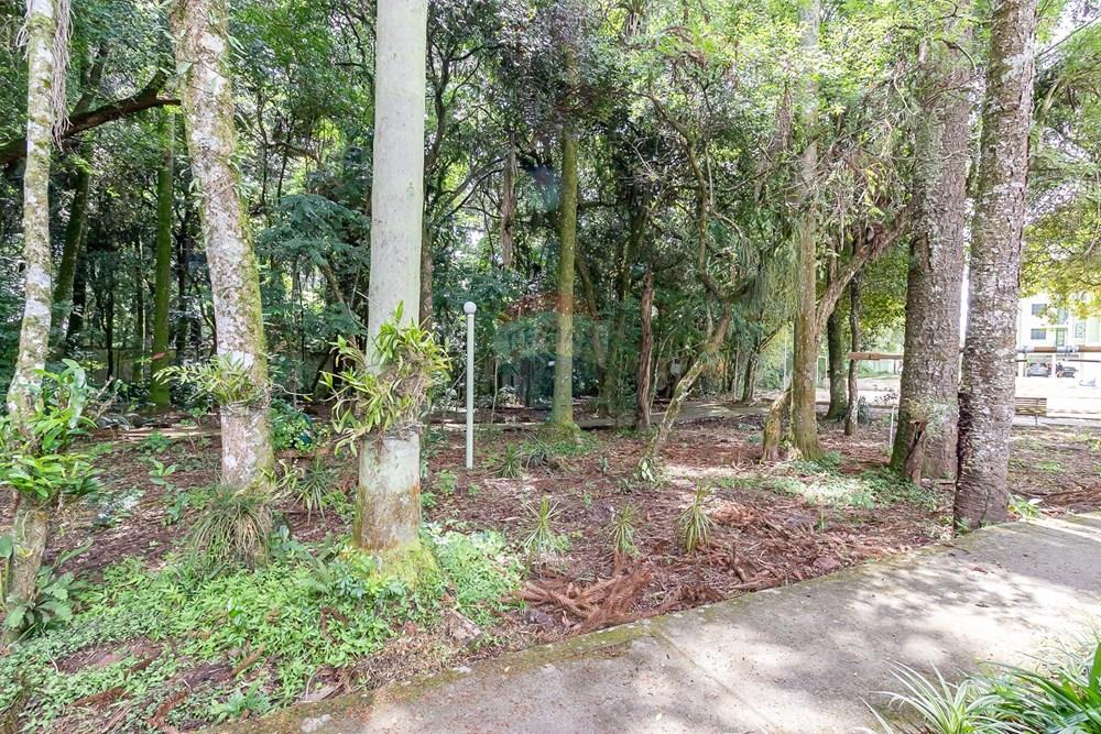 Apartamento - Alugar - Curitiba , Paraná - IMG_1327.jpg - 560441028-26