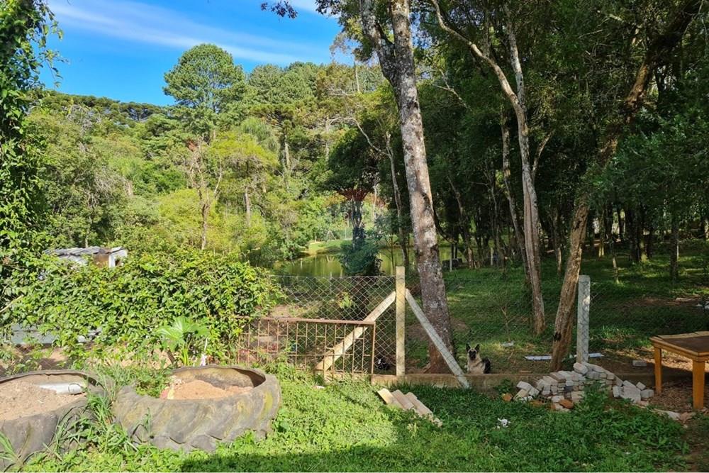 Galpão - Venda - São José dos Pinhais , Paraná - 4fd280f9-6073-40e3-a694-2680f898ea84.jpeg - 560331128-20