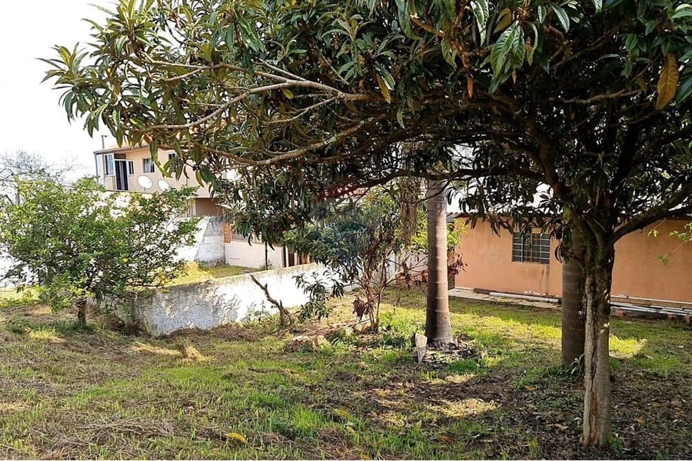 Terreno - Venda - São José dos Pinhais , Paraná - 1e939dfc-ebd1-40ff-bb0e-c971d062992a.jpeg - 560391051-19