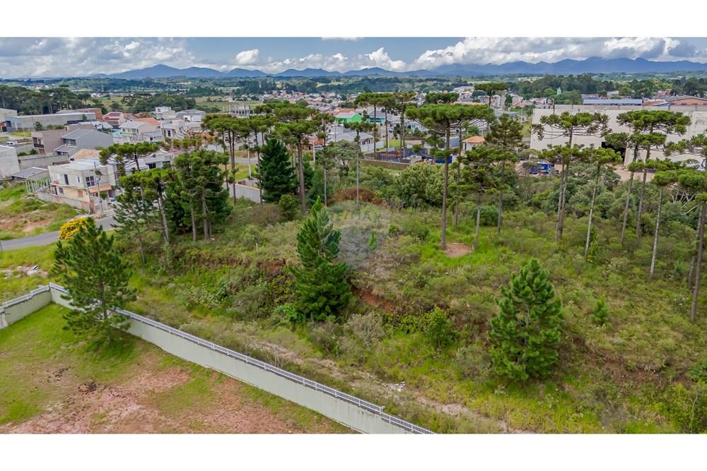 Terreno - Venda - São José dos Pinhais , Paraná - DJI_20250227132944_0569_D.jpg - 560351069-35