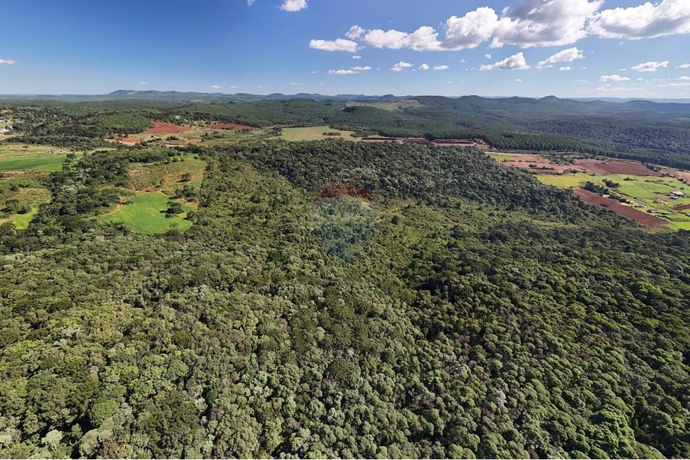 Terreno - Venda - Calmon , Santa Catarina - Fundos para a Rodovia.JPG - 560351109-12