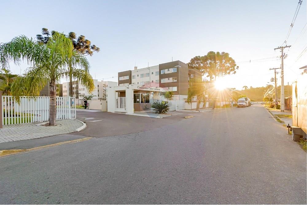 Apartamento - Venda - Campo Largo , Paraná - 881be463-ba74-45da-8223-94dbff763240.jpeg - 560411032-62