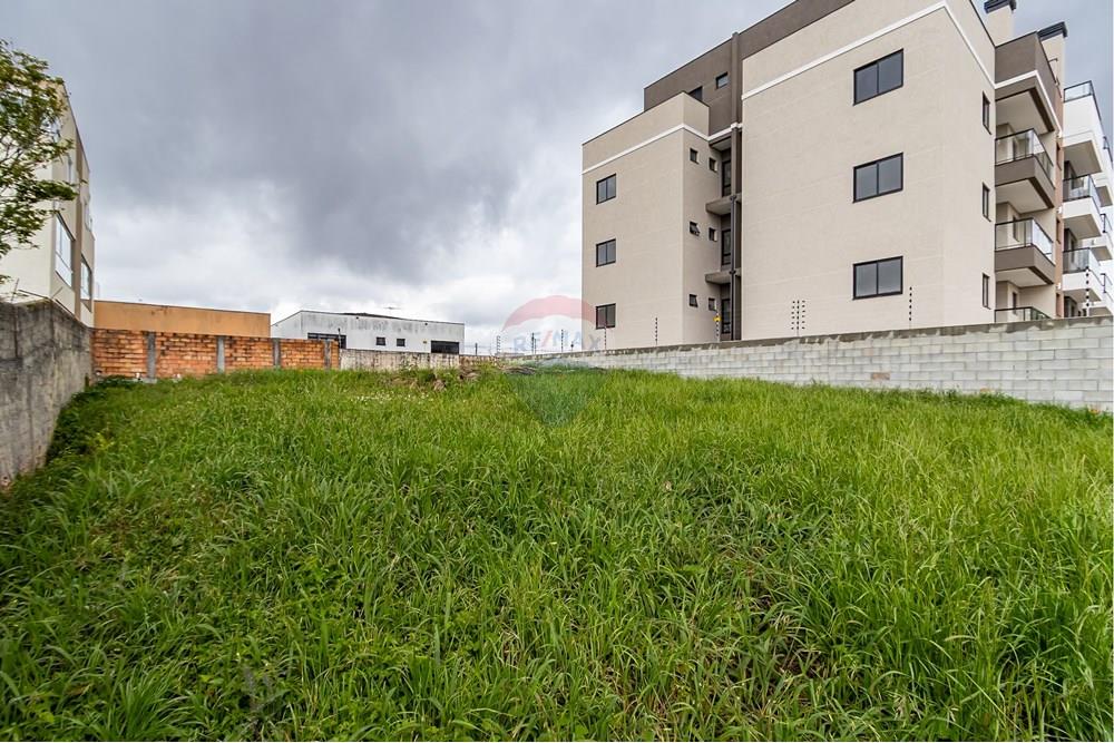 Terreno - Venda - Pinhais , Paraná - IMG_4908.jpg - Quintal - 560311065-16