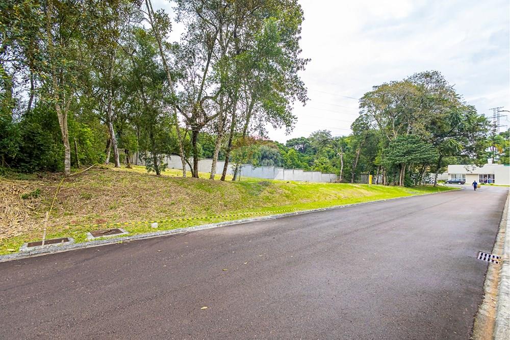 Terreno - Venda - Curitiba , Paraná - SHEEP - IMG_2558_1.jpg - 560341101-20
