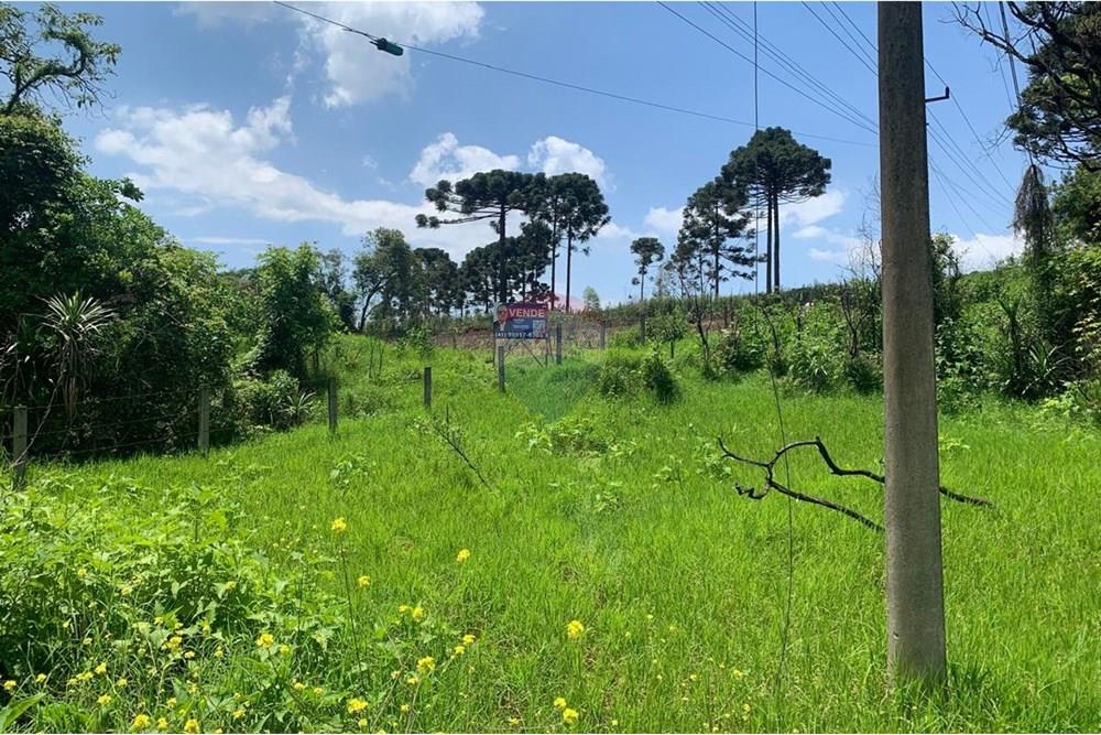 Terreno - Venda - Almirante Tamandaré , Paraná - 10.jpeg - 560461019-14