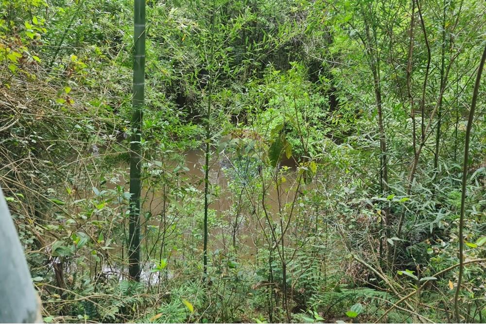 Chácara / Sítio / Fazenda - Venda - São José dos Pinhais , Paraná - 5ea62860-ca7a-479c-a0c4-5ac975082fa8.jpeg - 560331128-24