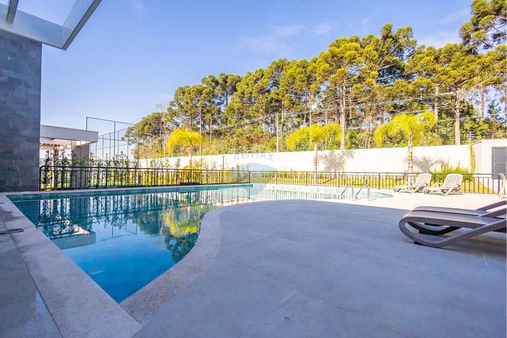 Terreno - Venda - São José dos Pinhais , Paraná - IMG_9986.jpg - 560351163-5