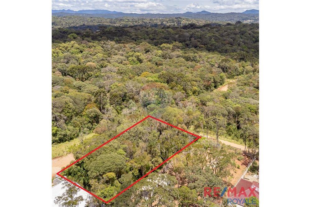 Terreno - Venda - São José dos Pinhais , Paraná - 10 - 560251029-43