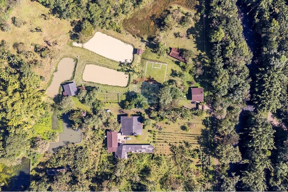 Chácara / Sítio / Fazenda - Venda - Antonina , Paraná - DJI_0653_1.jpg - 560411008-83