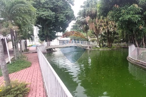 Slider Image Thumbnail