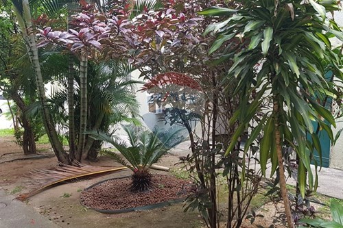 Slider Image Thumbnail