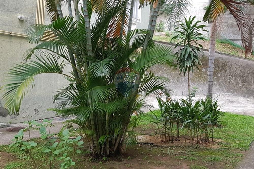 Apartamento - Alugar - Rio de Janeiro , Rio de Janeiro - 20251115_102147.jpg - 570491002-48