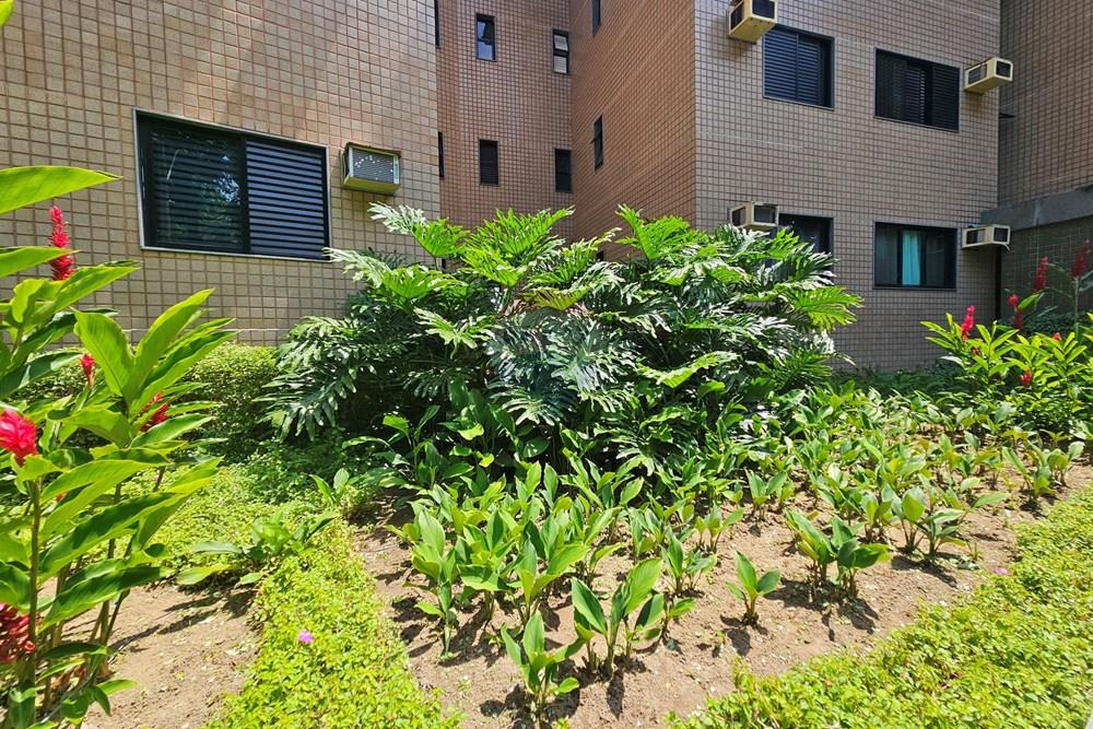 Apartamento - Venda - Mangaratiba , Rio de Janeiro - 20260306_113218.jpg - 570511005-217