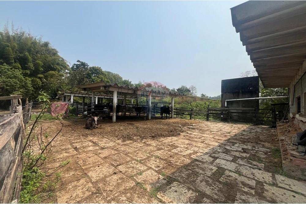 Chácara / Sítio / Fazenda - Venda - Cachoeiras de Macacu , Rio de Janeiro - WhatsApp Image 2024-11-28 at 15.41.55.jpeg - 570371033-52