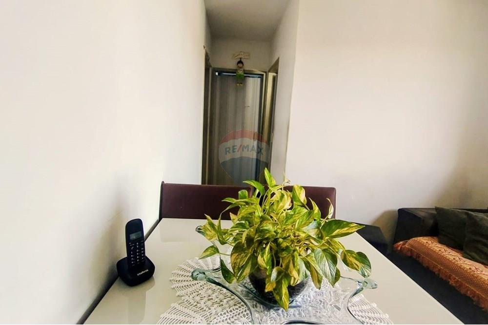 Apartamento - Venda - Rio de Janeiro , Rio de Janeiro - WhatsApp Image 2025-11-23 at 12.03.10.jpeg - 570391005-79