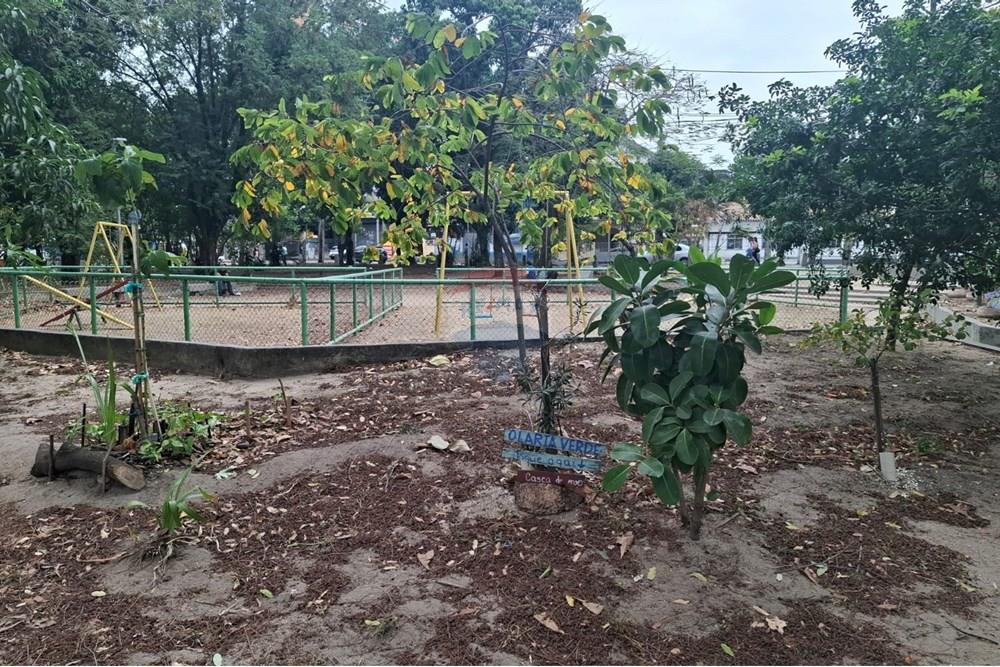 Cobertura - Venda - Rio de Janeiro , Rio de Janeiro - PRAÇA 02.jpeg - 570461039-8