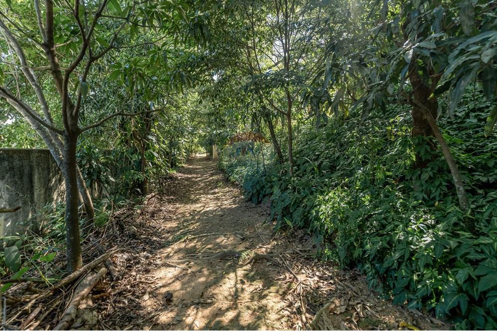 Casa - Venda - Rio de Janeiro , Rio de Janeiro - REMAX-200.jpg - 570381119-3