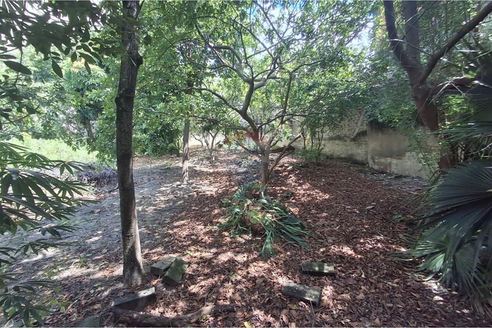 Terreno - Venda - Rio de Janeiro , Rio de Janeiro - WhatsApp Image 2026-01-27 at 11.54.25 (1).jpeg - 570461065-22