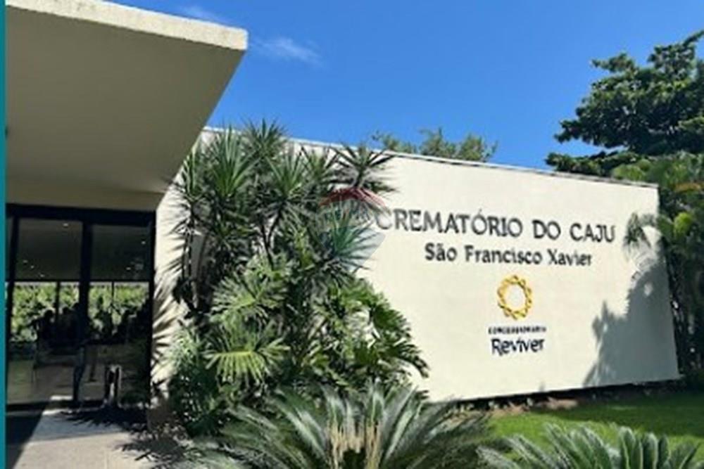 Terreno - Venda - Rio de Janeiro , Rio de Janeiro - IMG-20260317-WA0075.jpg - 570481022-59