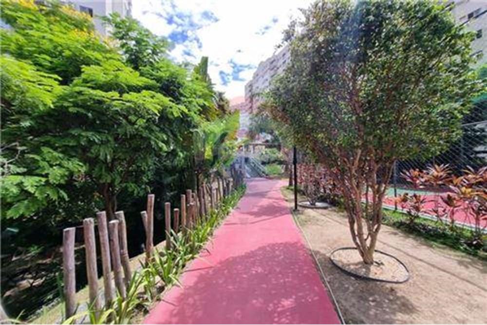 Apartamento - Alugar - Rio de Janeiro , Rio de Janeiro - bosque caminhada.jpg - Jardim Externo - 570471019-114