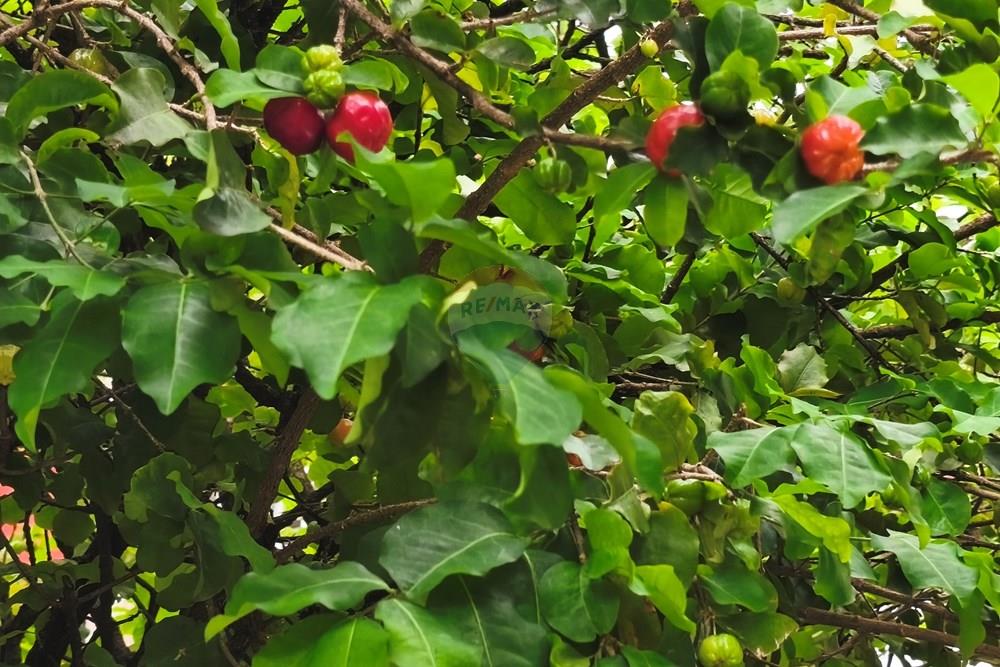 Apartamento - Venda - Rio de Janeiro , Rio de Janeiro - IMG_20260223_124953.jpg - 570381145-21