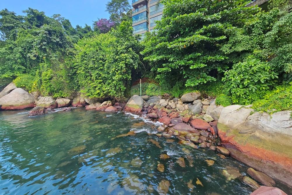 Apartamento - Venda - Mangaratiba , Rio de Janeiro - 20260306_114717.jpg - 570511005-217