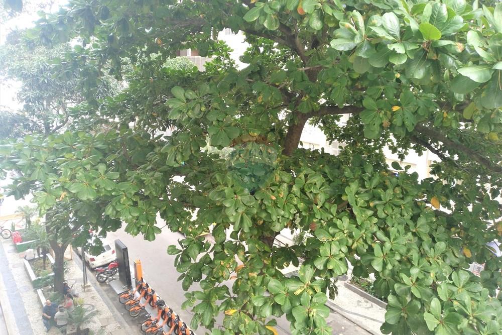 Apartamento - Venda - Rio de Janeiro , Rio de Janeiro - 20230530_154226.jpg - 570531003-11